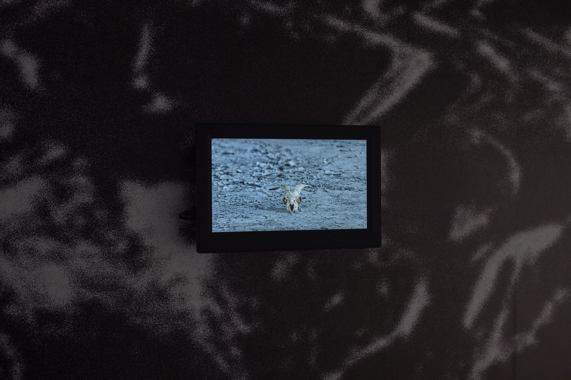 MUNDO TOKAS — foto 10