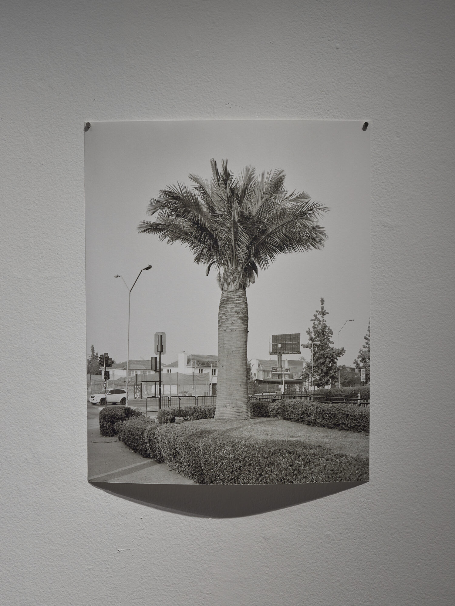 MUNDO TOKAS — foto 12