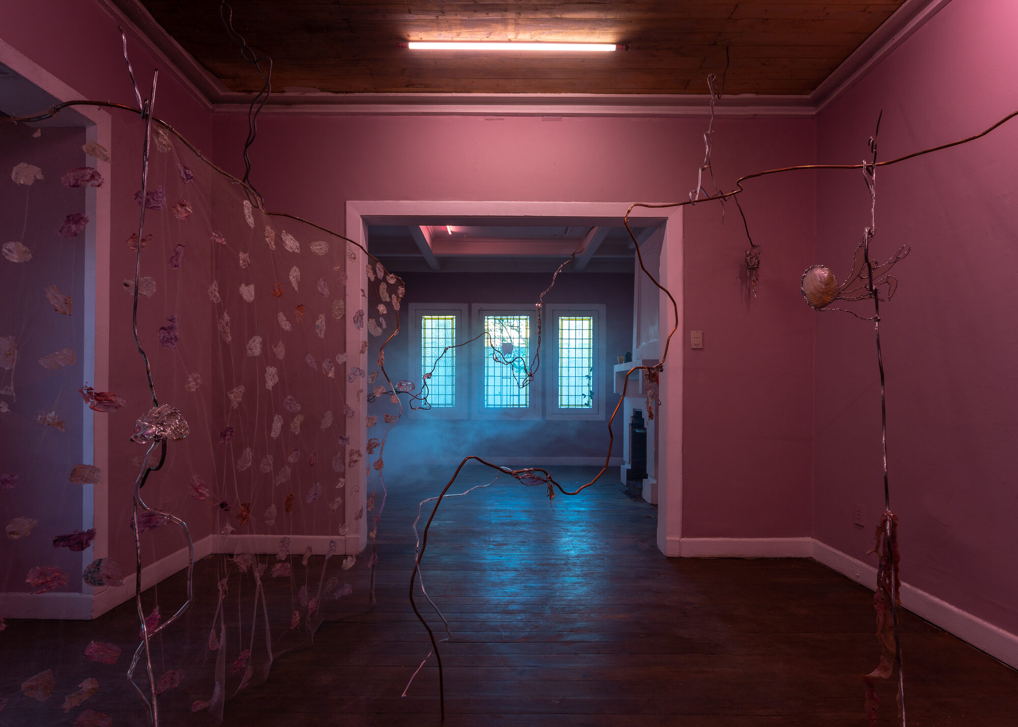 Agua Malva, Elizabeth Burmann