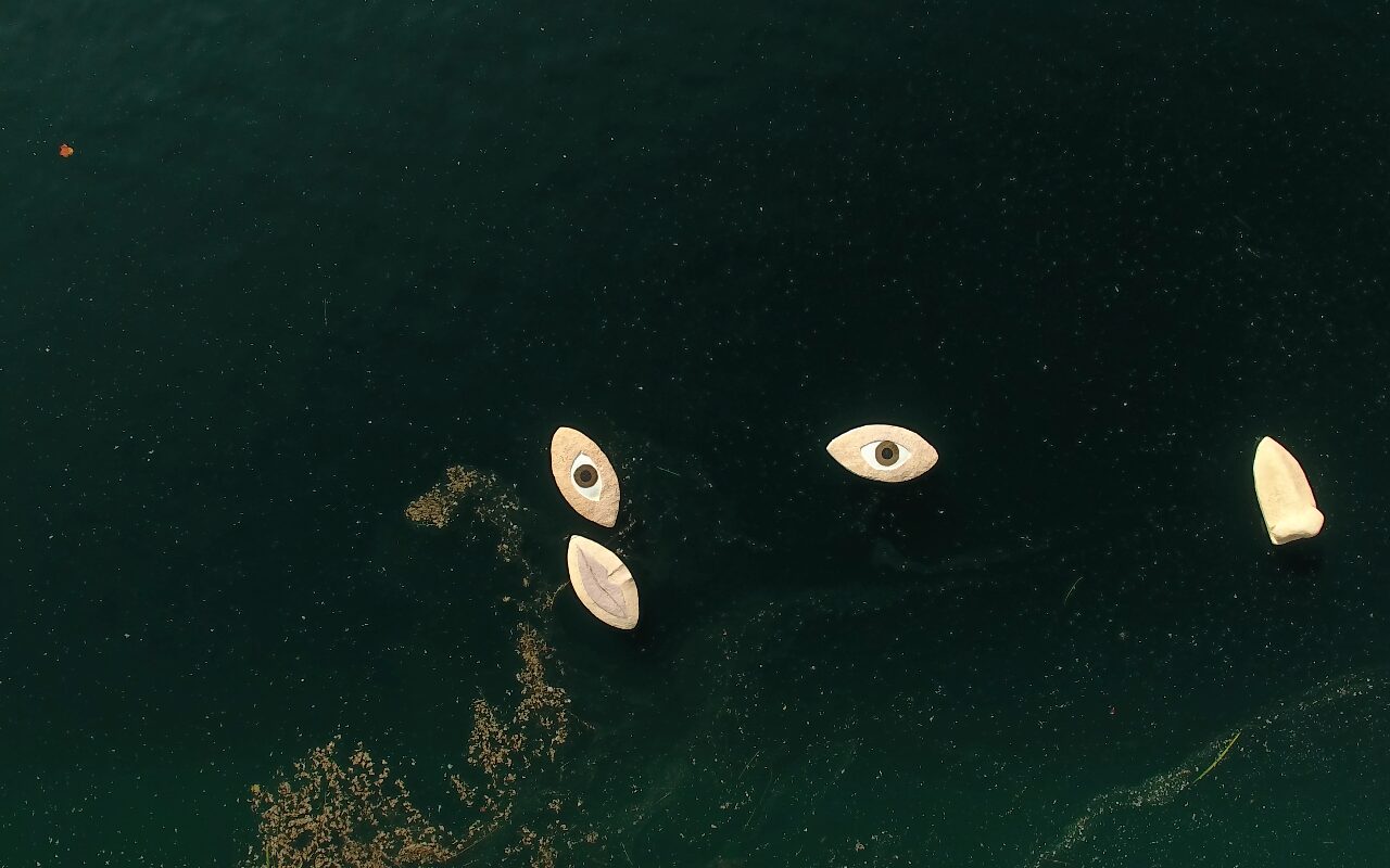 Human Face, 2019 — foto 1